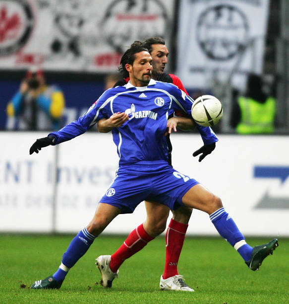 媒体上的热 媒体上的热